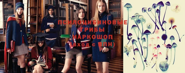 дурь Алзамай